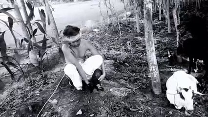 #The Man with Goat#Lockdown special working Man#film by RAJ,Man story which is gold worker Mumabi