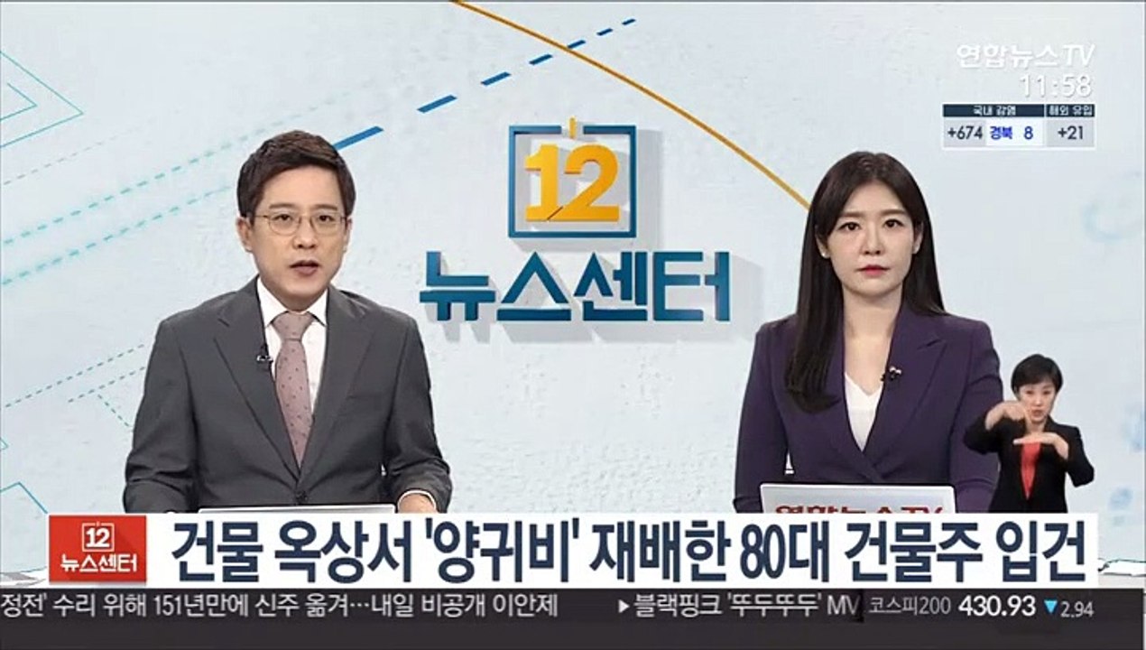 건물 옥상서 '양귀비' 재배한 80대 건물주 입건