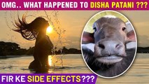 Disha Patani Shares WEIRD Picture & A Bikini Photo After FIR Against Her