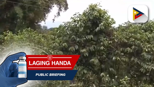 Pagkakaroon ng sariling coffee brand ang lungsod ng Baguio, malapit ng matupad sa suporta ng gobyerno at coffee growers