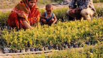 Food nurseries help Indian women out of poverty