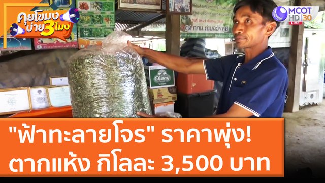ฟ้าทะลายโจร ราคาพุ่ง! ตากแห้ง กิโลละ 3,500 บาท (2 มิ.ย. 64) คุยโขมงบ่าย 3 โมง