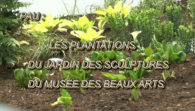 LES W-D.D. MICHOU64 NEWS - 2 JUIN 2021 - PAU - LES PLANTATIONS DU JARDIN DES SCULPTURES DU MUSÉE DES BEAUX ARTS