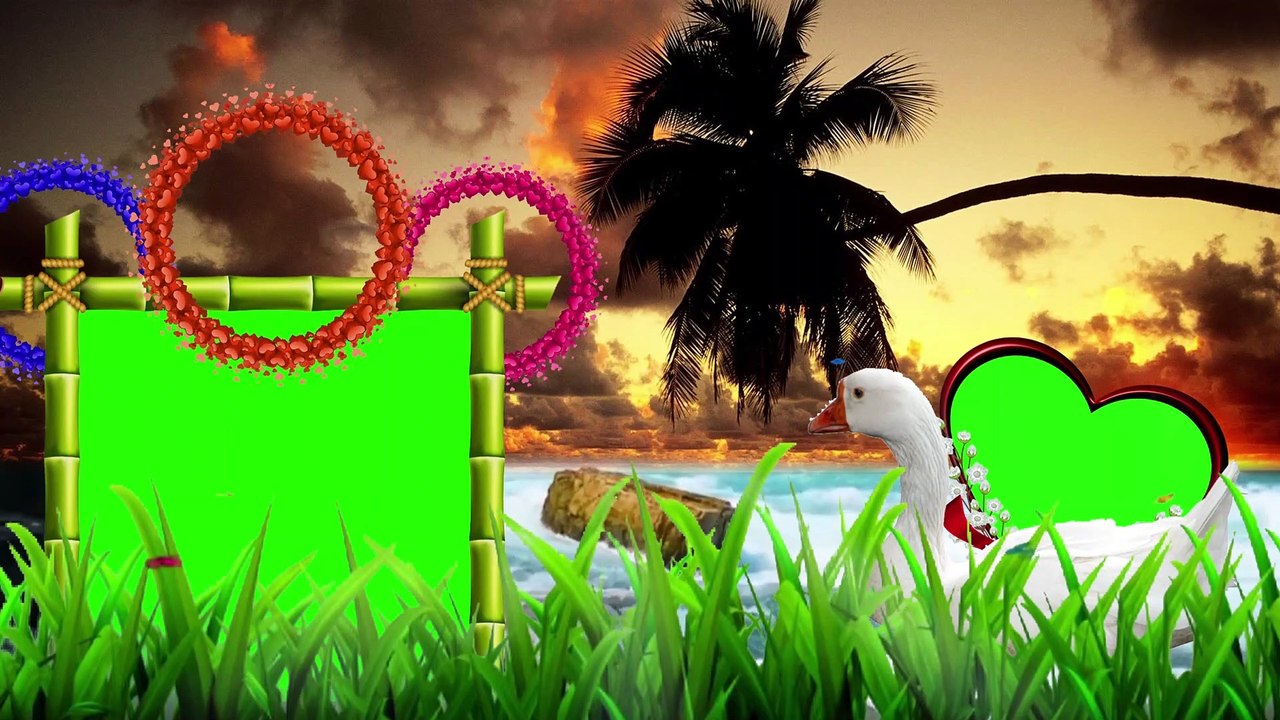 Wedding green screen Effects HD Video 28/Dil photo frame Very Beautiful New green photo frame hd