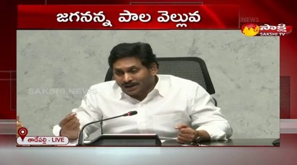 పాడిరైతుల కోసం అమూల్ ప్రాజెక్ట్‌ను తీసుకొచ్చాం: సీఎం జగన్