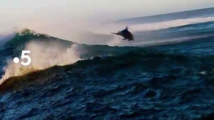 [BA] Planète bleue, un seul océan - 10/06/2021