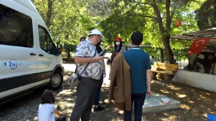 Balıkesir’de anıt ağaçlara defineci zararı