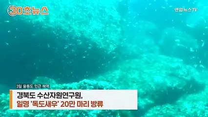 [30초뉴스] 日영토 억지에…'독도새우' 20만마리 투하