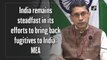 India remains steadfast in its efforts to bring back fugitives to India: MEA