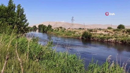 Ceyhan Nehri’nde oksijensiz kalan balıklar telef oldu