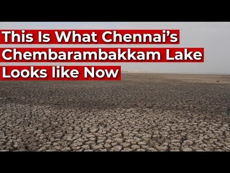 This Is What Chennai’s Chembarambakkam Lake Looks like Now