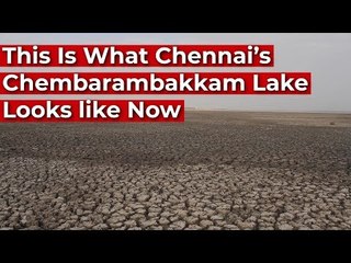 This Is What Chennai’s Chembarambakkam Lake Looks like Now