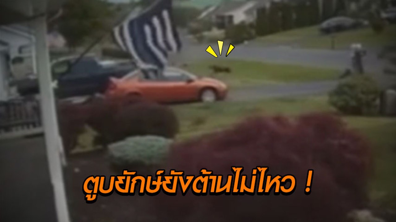 ยังกะทอร์นาโด ! เปิดนาทีลมทรงพลังพัดหนัก ทำตูบย...