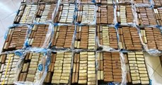 Oltre una tonnellata di cocaina in carico di banane dall'Ecuador: sequestro a Gioia Tauro (04.06.21)