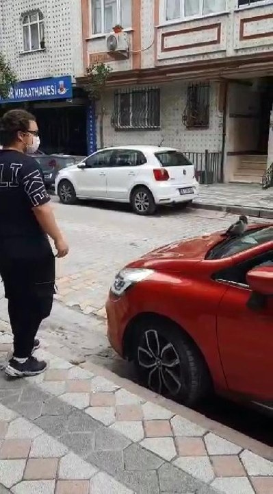 KORKU FİLMİ GİBİ... SULTANGAZİ'DE KARGALAR SALDIRDI