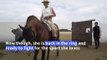 Spain’s woman bullfighter bucking stereotypes