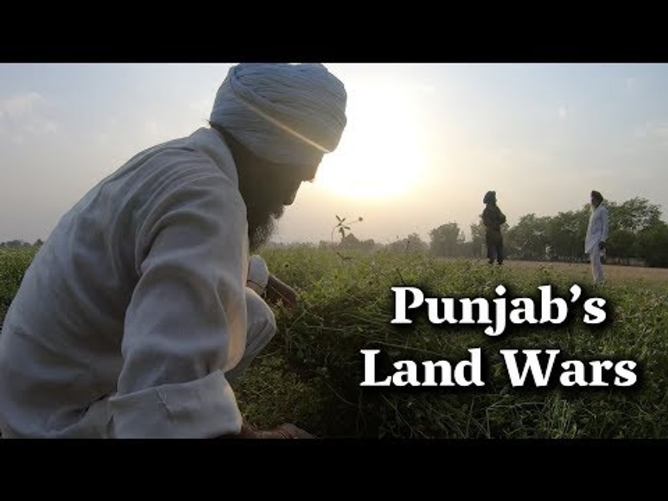 Punjab's Land Wars: How Dalit Landless Farmers Are Reclaiming Their Share of Land