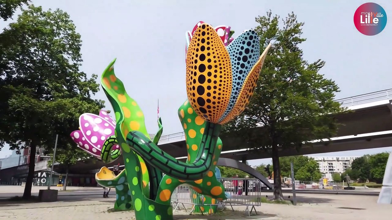 LILLE MA VILLE - une visite guidée de Lille depuis votre canapé