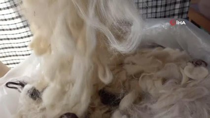 Unutulmaya yüz tutan yün yorgana talep arttı