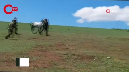 Savaşa gider gibi at sırtında sopalarla kavgaya koştular