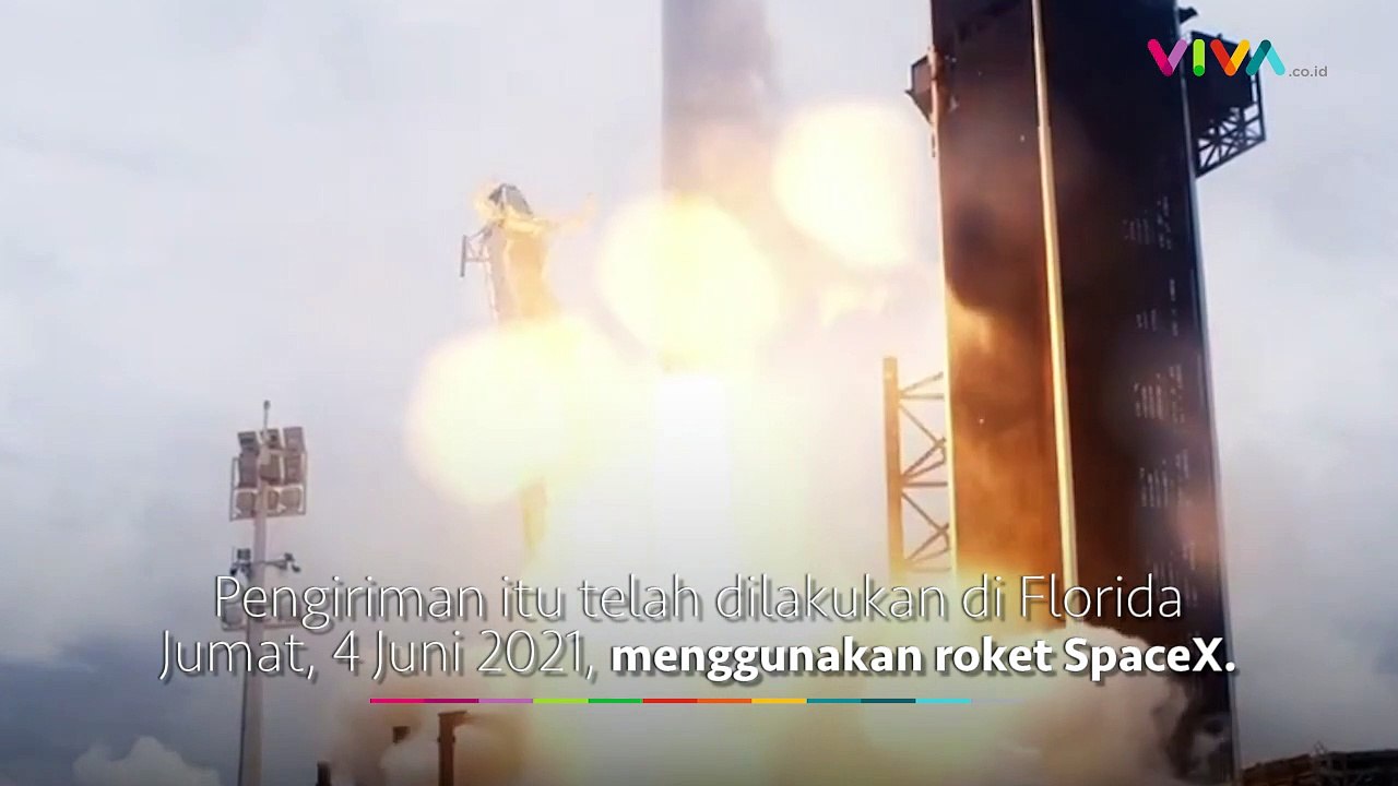 NASA Bawa Cumi-cumi dan Beruang Air ke Luar Angkasa