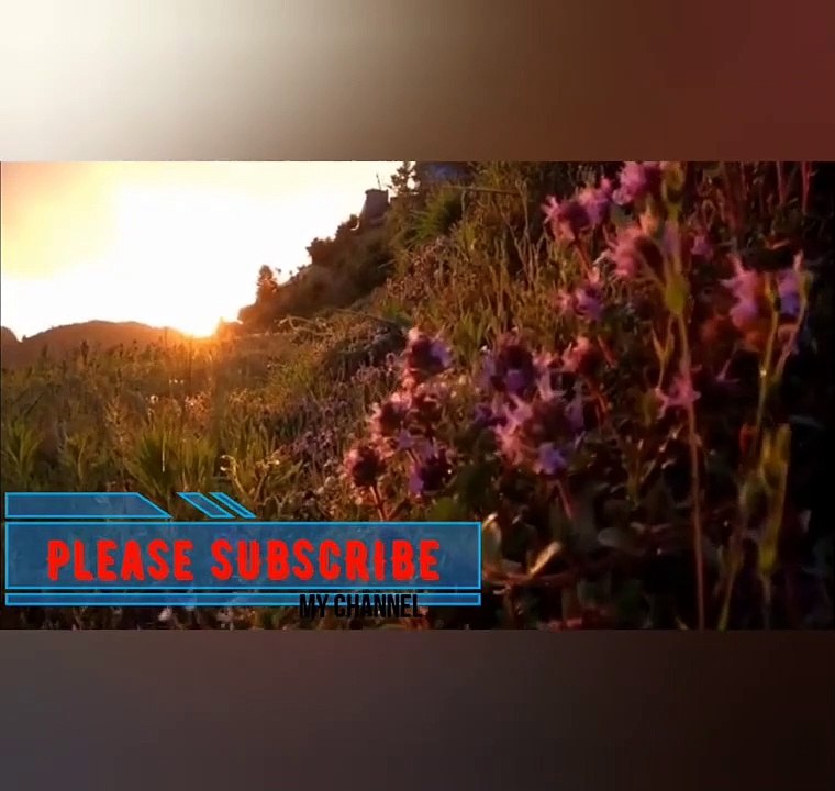 Oily Folded Hairstyles__Long hair folded hairstyles__home hairstyles__ Requested video