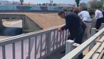 Sedat Peker'den her ay 10 bin dolar alan siyasetçi muhalefetin gündeminden düşmüyor! CHP'li vekil köprüye pankart astı