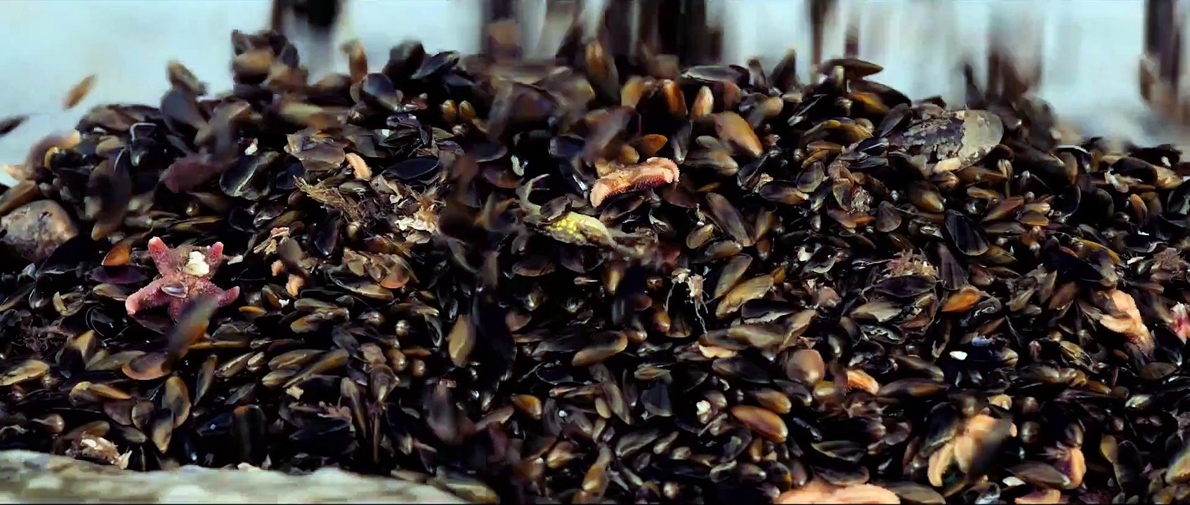 DER ATEM DES MEERES Film