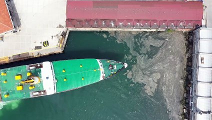 İSTANBUL - DRONE - Deniz salyası Anadolu Yakası'nda bazı bölgelerde görülmeye devam ediyor