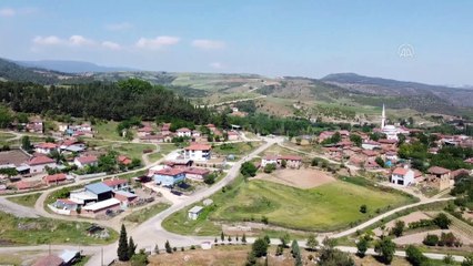 BİLECİK - Baraj sularıyla yetiştirilen kestane kabağında üretim yüzde 30 arttı