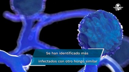 Reportan otro caso de "hongo negro" en América Latina; ahora en Chile