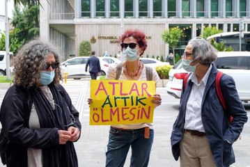 Adaların Atları Platformu, sahiplendirilen atların Adalar'a geri getirilmesini istiyor