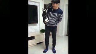 Funny videos of pets