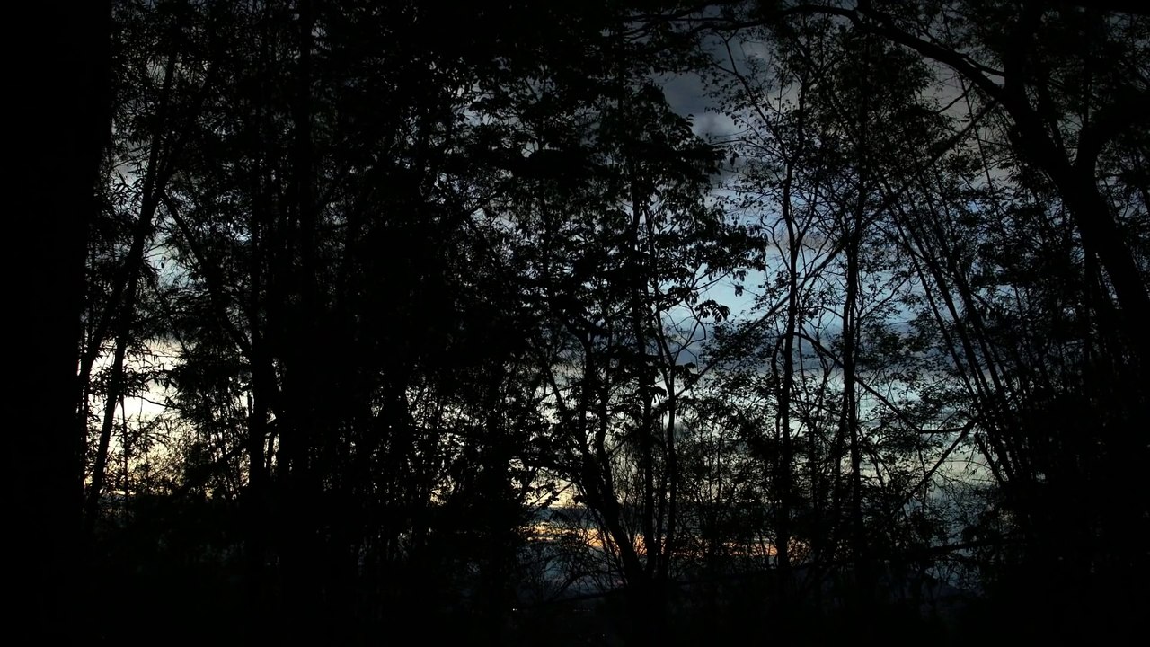 The Medium - Bande-annonce VOST anglais