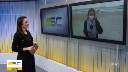 Equipe da NSC TV é surpreendida por salto de baleia no amanhecer