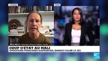 Coup d'État au Mali : opérations françaises suspendues, Bamako calme le jeu
