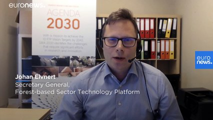 Das Beste aus Papier und Holz herausholen