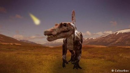 Welche Tiere haben die Dinosaurier überlebt?