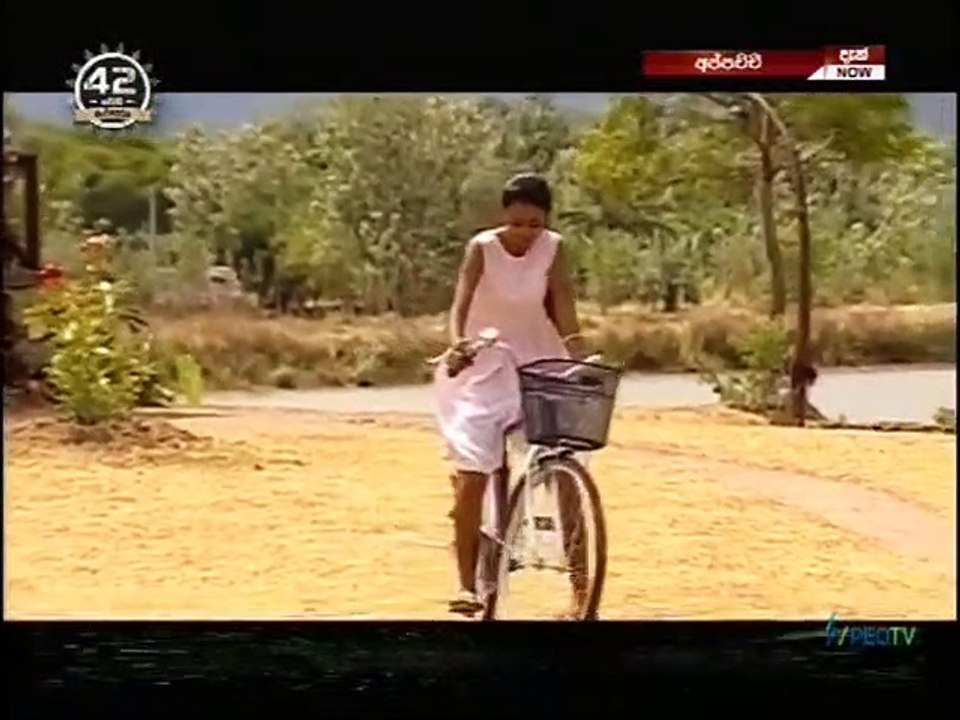 Appachchi (31) 04-06-2021