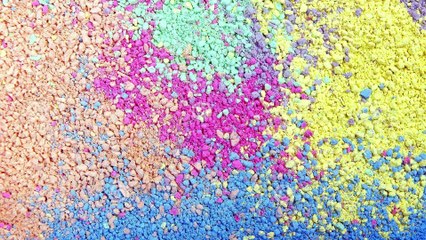 Color Transfusion Unique Science Experiment | Walking Water | Color Travel | Color Transfer Activity