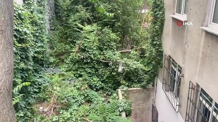 Beyoğlu’nda balkondan düşen genci ağaçlar kurtardı