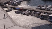 ÇANAKKALE - Marmara Denizi'ndeki müsilaj, Çanakkale kıyılarında rüzgarın etkisiyle yüzeyde görülüyor