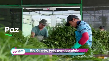 Soluciones del Trece - Lunes 07 de junio del 2021