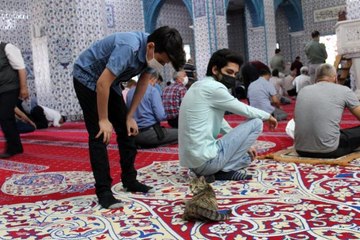Camiye giren minik kedi çocukların maskotu oldu