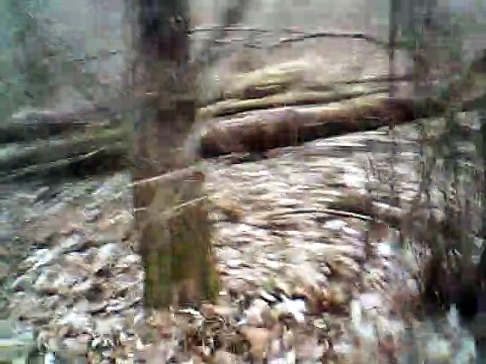 wild mountain thyme (BALALAIKA and vocals)