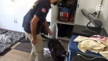 DAEŞ bombacısı Gaziantep'te gözaltına alındı