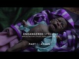 Why Are Most of India's Malnourished Children in Assam? | The Wire