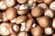 Study Suggests Eating Mushrooms Could Lower Cancer Risk by 45%
