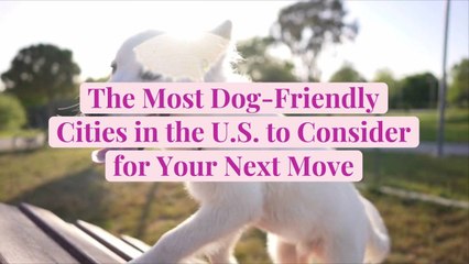 The Most Dog-Friendly Cities in the U.S. to Consider for Your Next Move