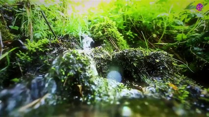 logo-15-min-river-water-20210427-235616